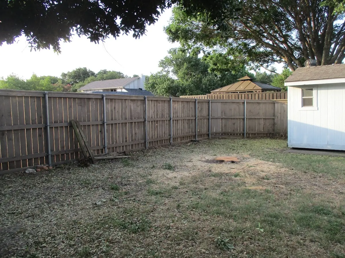 Cleared yard after professional tree removal in Kalaupapa